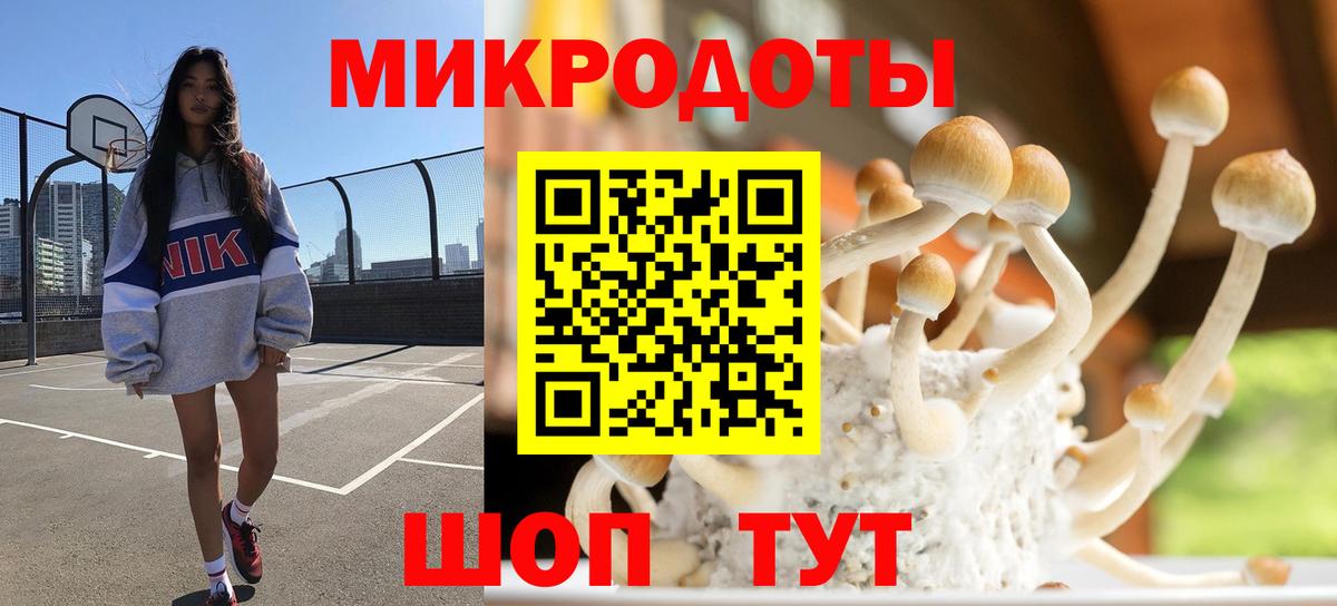 Йошкар-Ола  Галлюциногенные грибы Psilocybe  Вход с VPN 