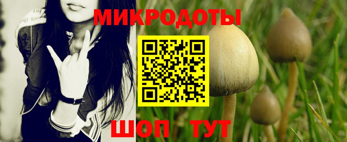 Галлюциногенные грибы мухоморы Йошкар-Ола